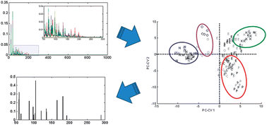 Graphical abstract: Explanatory multivariate analysis of ToF-SIMS spectra for the discrimination of bacterial isolates
