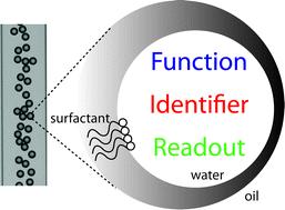 Graphical abstract: The potential of microfluidic water-in-oil droplets in experimental biology