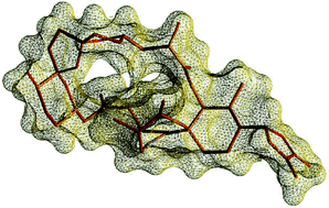 Graphical abstract: Full relative stereochemistry assignment and conformational analysis of 13,19-didesmethyl spirolide CviaNMR- and molecular modeling-based techniques. A step towards understanding spirolide’s mechanism of action
