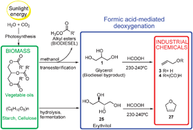 Graphical abstract: An efficient didehydroxylation method for the biomass-derived polyols glycerol and erythritol. Mechanistic studies of a formic acid-mediated deoxygenation