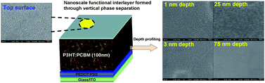 Graphical abstract: Nanoscale functional interlayers formed through spontaneous vertical phase separation in polymer photovoltaic devices