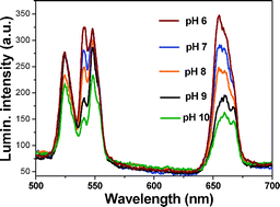 Graphical abstract: pH sensor based on upconverting luminescent lanthanide nanorods