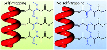 Graphical abstract: Self-trapped vibrational states in synthetic β-sheet helices