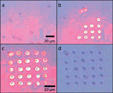 Graphical abstract: Antifouling coatings for optoelectronic tweezers