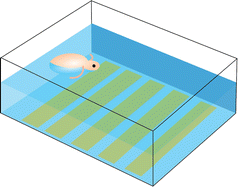 Graphical abstract: A photoelectrochemical method for tracking the motion of Daphnia magna in water