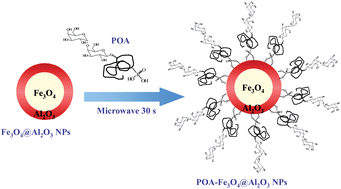 Graphical abstract: Identification of Pseudomonas aeruginosa using functional magnetic nanoparticle-based affinity capture combined with MALDI MS analysis