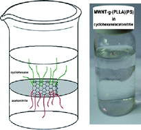 Graphical abstract: Polymer grafted Janus multi-walled carbon nanotubes