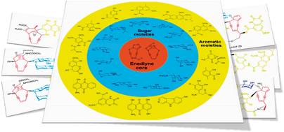 Graphical abstract: Complexity and simplicity in the biosynthesis of enediyne natural products