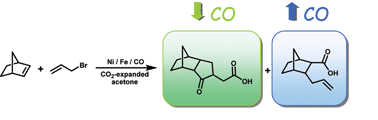 Graphical abstract: Versatile chemoselectivity in Ni-catalyzed multiple bond carbonylations and cyclocarbonylations in CO2-expanded liquids