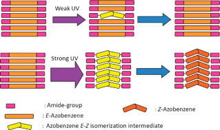 Graphical abstract: Photoisomerization of an azobenzenegel by pulsed laser irradiation