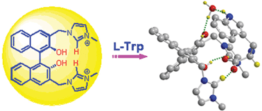 Graphical abstract: 1,1′-Binaphthyl-based imidazolium chemosensors for highly selective recognition of tryptophan in aqueous solutions