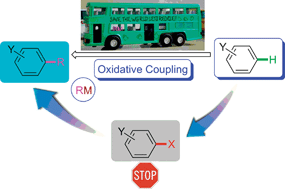 Graphical abstract: Pd-catalyzed oxidative coupling with organometallic reagents via C–H activation