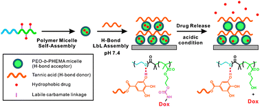 Graphical abstract: Hydrogen-bonded multilayer of pH-responsive polymeric micelles with tannic acid for surface drug delivery