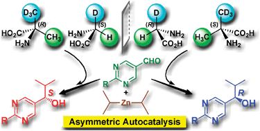 Graphical abstract: Asymmetric autocatalysis induced by meteoritic amino acids with hydrogen isotope chirality