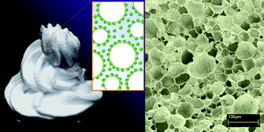 Graphical abstract: Macroporous polymers from particle-stabilized foams