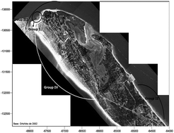 Graphical abstract: Distribution and structure of the upper sublittoral macrobenthic communities of Tróia sand beaches (Setúbal, Portugal) and their relationship with environmental factors