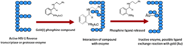 Graphical abstract: Novel gold(i) phosphine compounds inhibit HIV-1 enzymes