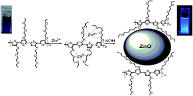 Graphical abstract: Highly luminescent, homogeneous ZnO nanoparticles synthesized via semiconductive polyalkyloxylthiophene template