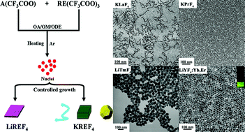Graphical abstract: Optically active uniform potassium and lithium rare earth fluoride nanocrystals derived from metal trifluroacetate precursors