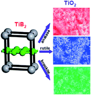 Graphical abstract: Titania polymorphs derived from crystalline titanium diboride