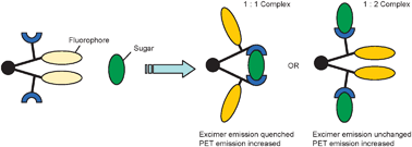 Graphical abstract: Carbohydrate sensing using a fluorescent molecular tweezer