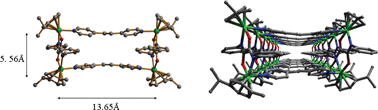 Graphical abstract: Synthesis and characterization of molecular rectangles of half-sandwich p-cymene ruthenium complexes bearing oxamidato ligands