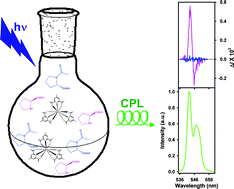 Graphical abstract: Luminescent chiral lanthanide(iii) complexes as potential molecular probes