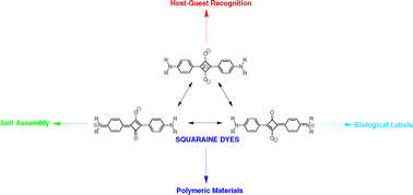 Graphical abstract: Squaraine dyes in molecular recognition and self-assembly