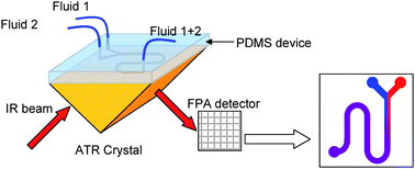 Graphical abstract: Chemical imaging of microfluidic flows using ATR-FTIR spectroscopy