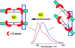 Graphical abstract: Axially rotating (Pt-salphen)2 phosphorescent coordination frameworks