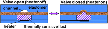 Graphical abstract: Manufacturable plastic microfluidic valves using thermal actuation