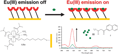 Graphical abstract: Luminescent self-assembly formation on a gold surface observed by reversible ‘off–on’ switching of Eu(iii) emission