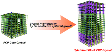 Graphical abstract: A block PCP crystal: anisotropic hybridization of porous coordination polymers by face-selective epitaxial growth