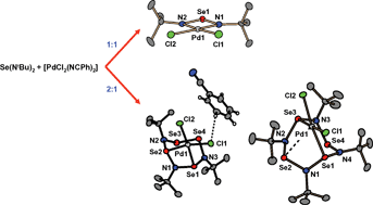 Graphical abstract: Palladium complexes containing novel cyclic selenium imides