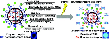 Graphical abstract: Multi-stimuli-triggered release of charged dye from smart PEGylated nanogels containing gold nanoparticles to regulate fluorescence signals