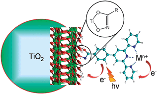 Graphical abstract: Hydroxamate anchors for water-stable attachment to TiO2 nanoparticles