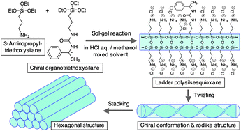 Graphical abstract: Sol–gel synthesis of ladder polysilsesquioxanes forming chiral conformations and hexagonal stacking structures