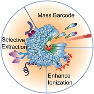 Graphical abstract: Engineered nanoparticle surfaces for improved mass spectrometric analyses