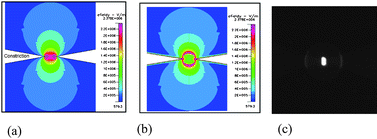 Graphical abstract: Enhancing DNA hybridization kinetics through constriction-based dielectrophoresis