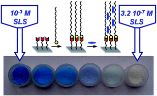 Graphical abstract: A new approach for the selective and sensitive colorimetric detection of ionic surfactants in water