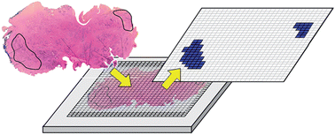 Graphical abstract: 2D-PCR: a method of mapping DNA in tissue sections