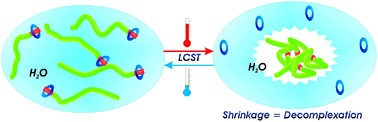 Graphical abstract: LCST: a powerful tool to control complexation between a dialkoxynaphthalene-functionalised poly(N-isopropylacrylamide) and CBPQT4+ in water