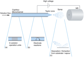 Graphical abstract: Functional electrospray emitters