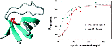 Graphical abstract: Competitively selected protein ligands pay their increase in specificity by a decrease in affinity