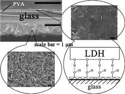 Graphical abstract: Preparation of layered double hydroxide films with different orientations on the opposite sides of a glass substrate by in situ hydrothermal crystallization