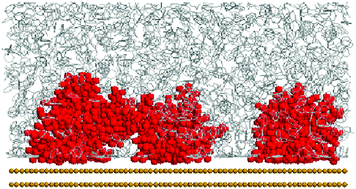 Graphical abstract: Molecular dynamics simulations of polystyrene brushes in dry conditions and in toluene solution