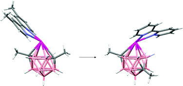 Graphical abstract: Exopolyhedral ligand flipping on isomerisation of novel supraicosahedral stannacarboranes
