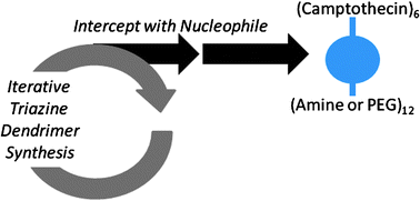 Graphical abstract: Intercepting the synthesis of triazine dendrimers with nucleophilic pharmacophores: a general strategy toward drug delivery vehicles