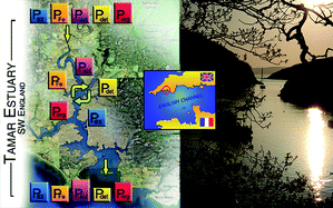 Graphical abstract: Sedimentary pools of phosphorus in the eutrophic Tamar estuary (SW England)