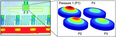 Graphical abstract: Multiplex pressure measurement in microsystems using volume displacement of particle suspensions